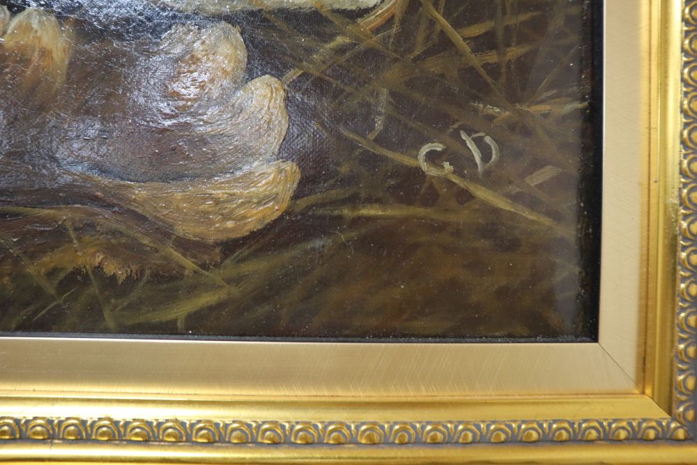 After Herbert Dicksee, oil on canvas, Study of lions, initialled GD, 48 x 71cm